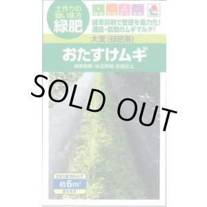 画像: [緑肥]　大麦（緑肥用）おたすけムギ　小袋（約5平方メートル分）　タキイ種苗（株）