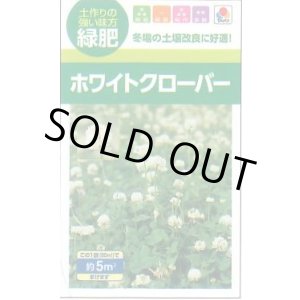 画像: 送料無料　[緑肥]　緑肥用ホワイトクローバー　フィア　小袋(約5平方メートル分)　タキイ種苗(株)