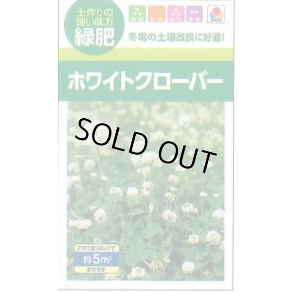 画像1: 送料無料　[緑肥]　緑肥用ホワイトクローバー　フィア　小袋(約5平方メートル分)　タキイ種苗(株) (1)