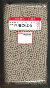 画像: [大根]　濱のはる　ペレット種子5000粒　(株)サカタのタネ