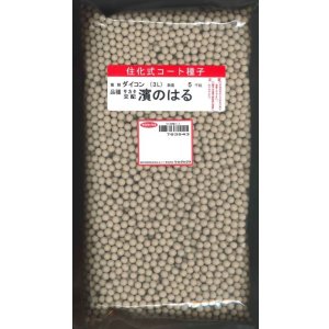 画像: [大根]　濱のはる　ペレット5000粒　(株)サカタのタネ