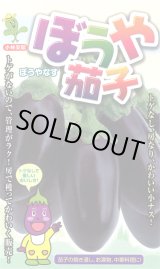 画像: 送料無料　[なす]　ぼうや茄子　9粒　小林種苗