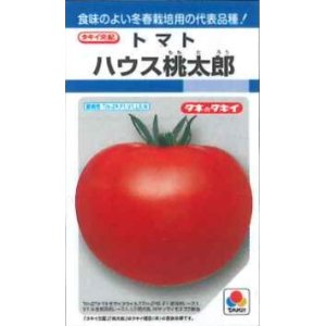 画像: [トマト/桃太郎系]　ハウス桃太郎　45粒　タキイ種苗（株）DF