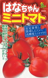 画像: [トマト/ミニトマト]　はなちゃん　小袋（16粒）小林種苗