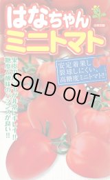 画像: 送料無料　[トマト/ミニトマト]　はなちゃん　小袋(13粒)　小林種苗（株）