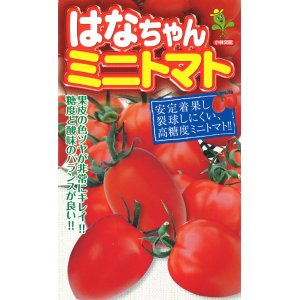 画像: [トマト/ミニトマト]　はなちゃん　小袋（16粒）小林種苗