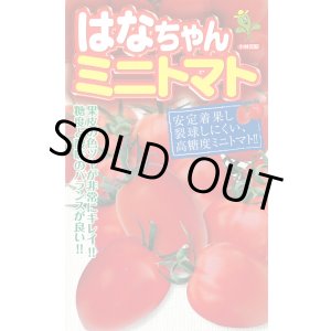 画像: 送料無料　[トマト/ミニトマト]　はなちゃん　小袋(13粒)　小林種苗（株）
