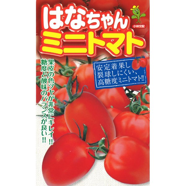 画像1: [トマト/ミニトマト]　はなちゃん　小袋（16粒）小林種苗 (1)