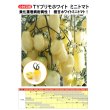 画像3: [トマト/ミニトマト]　TYプリモホワイト　7粒　小林種苗 (3)