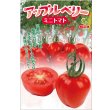 画像1: 送料無料　[トマト/ミニトマト]　アップルベリー小袋(7粒)小林種苗 (1)