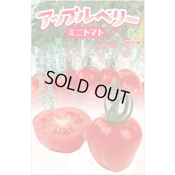 画像1: 送料無料　[トマト/ミニトマト]　アップルベリー小袋(7粒)　小林種苗（株） (1)