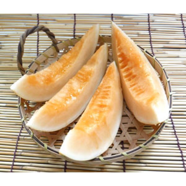 画像5: 送料無料　[メロン]　メロン　おてがるキイたん　7粒　小林種苗（株） (5)