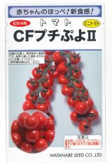 画像: [トマト/ミニトマト]　CFプチぷよ2　　（100粒）　（株）渡辺採種場