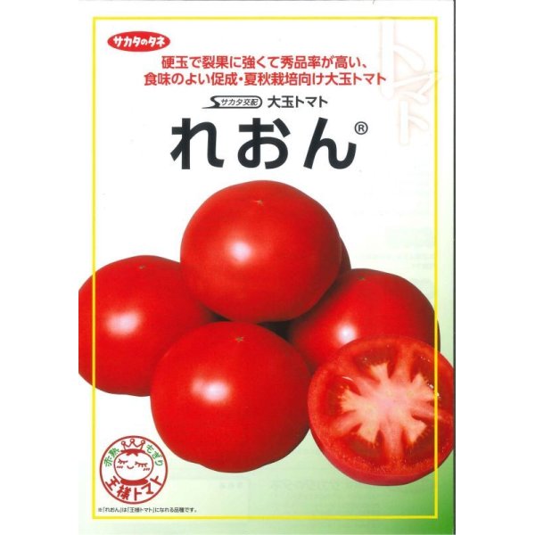 画像1: [トマト/大玉トマト]　送料無料！れおん　1000粒　サカタのタネ（株） (1)