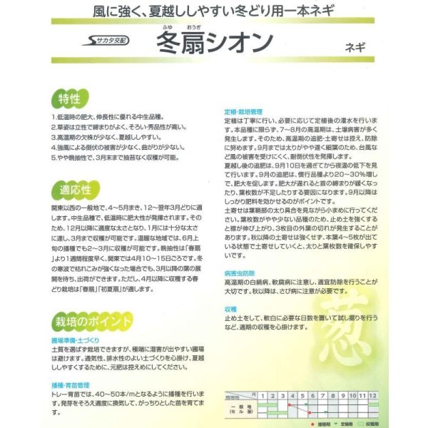 画像3: 送料無料 [ねぎ] 冬扇シオン 1dl(裸種子) (株)サカタのタネ (3)