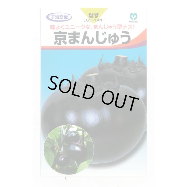 画像1: 送料無料　[なす]　京まんじゅう　40粒　丸種(株) (1)