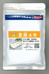 画像: 送料無料　[ねぎ]　夏扇4号　1dl(裸種子)　(株)　サカタのタネ