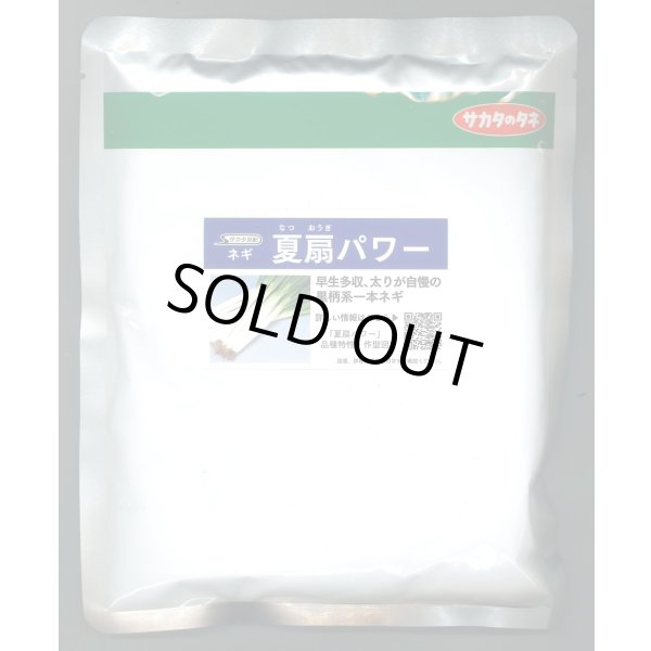 画像1: [ねぎ] 夏扇パワー ペレット種子 6000粒 (株)サカタのタネ (1)