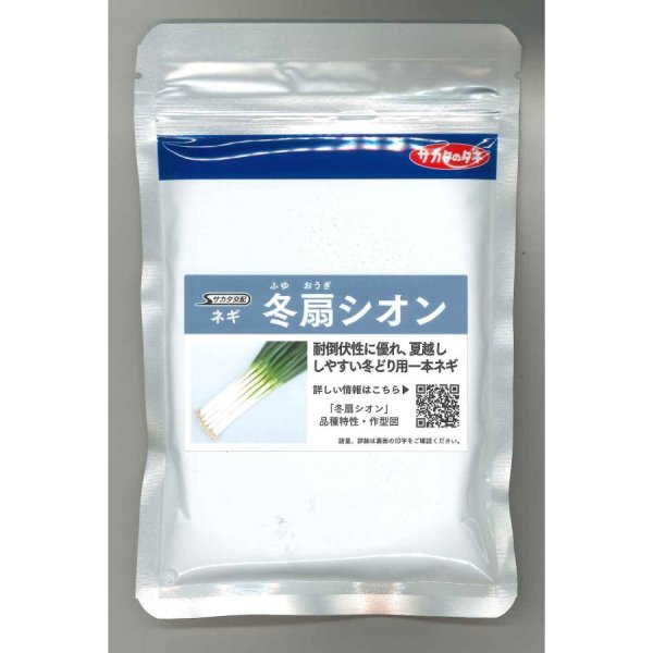 画像1: 送料無料 [ねぎ] 冬扇シオン 1dl(裸種子) (株)サカタのタネ (1)