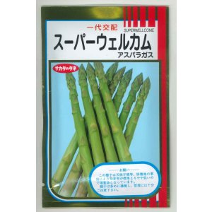 画像: 送料無料 [アスパラガス] スーパーウェルカム 20ml (株)サカタのタネ
