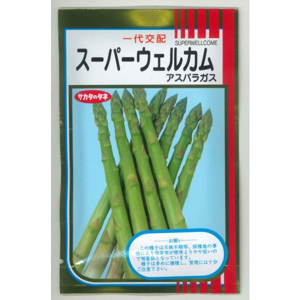 画像1: 送料無料 [アスパラガス] スーパーウェルカム 20ml (株)サカタのタネ (1)