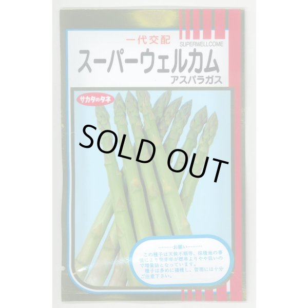 画像1: 送料無料　[アスパラガス]　スーパーウェルカム　20ml　(株)サカタのタネ (1)