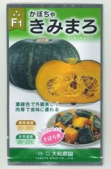 画像: 送料無料　[かぼちゃ]　きみまろ　10粒　（株）大和農園