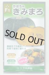 画像: 送料無料　[かぼちゃ]　きみまろ　10粒　(株)大和農園