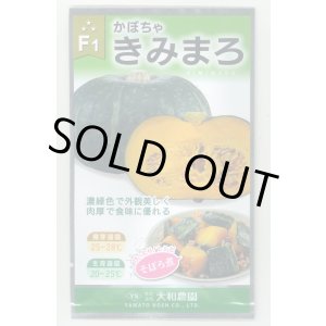 画像: 送料無料　[かぼちゃ]　きみまろ　10粒　(株)大和農園