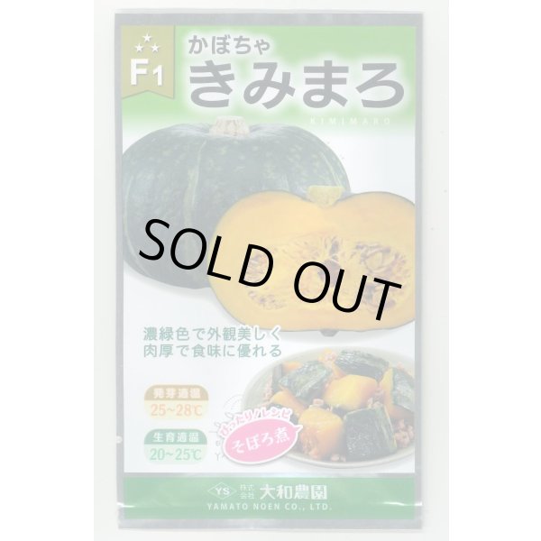 画像1: 送料無料　[かぼちゃ]　きみまろ　10粒　（株）大和農園 (1)