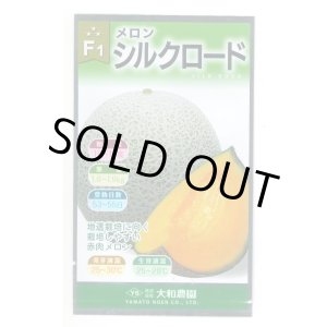 画像: 送料無料　[メロン]　シルクロード　7粒　(株)大和農園