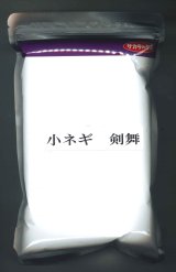 画像: [ねぎ]　剣舞　1L　（株）サカタのタネ