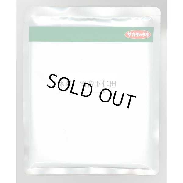 画像1: 送料無料 [ねぎ] 雷帝下仁田 2dl サカタのタネ(株) (1)