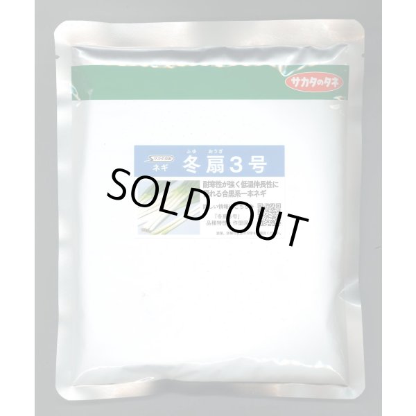 画像1: [ねぎ] 冬扇3号 ペレット種子 6000粒 (株)サカタのタネ (1)