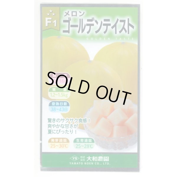 画像1: 送料無料　[メロン]　ゴールデンテイスト　7粒　（株）大和農園 (1)
