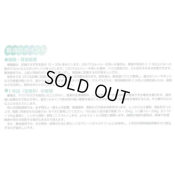 画像4: 送料無料 [アスパラガス] ハイパーウェルカム 1000粒 (株)サカタのタネ (4)