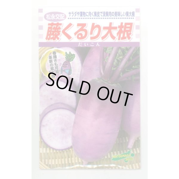 画像1: 送料無料　[大根]　藤くるり　2.5ml　松永種苗(株) (1)