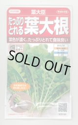 画像: 送料無料　[大根]　葉ダイコン　葉大臣　約900粒　(株)サカタのタネ　実咲350（003088）