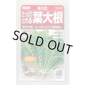 画像: 送料無料　[大根]　葉ダイコン　葉大臣　約900粒　(株)サカタのタネ　実咲350（003088）