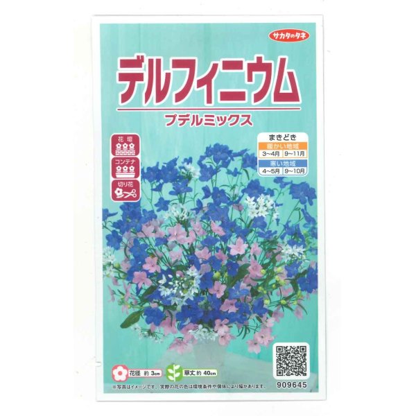 画像1: 花の種　デルフィニウム　プデルミックス　小袋（約40粒）（株）サカタのタネ　実咲500 (1)