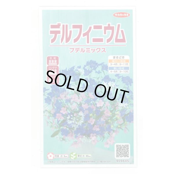 画像1: 送料無料　花の種　デルフィニウム　プデルミックス　小袋(約40粒)　(株)サカタのタネ　実咲500（101562） (1)