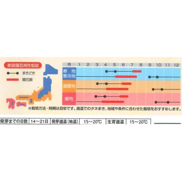 画像2: 花の種　デルフィニウム　プデルミックス　小袋（約40粒）サカタのタネ（株）実咲500 (2)