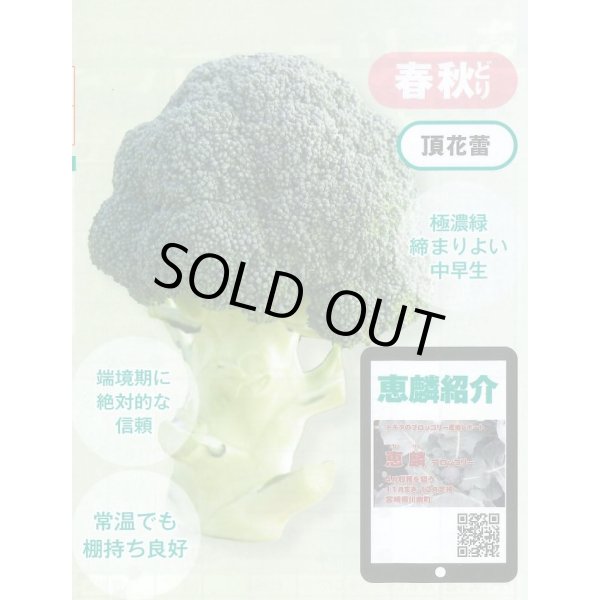 画像2: 送料無料　[ブロッコリー]　恵麟　2000粒　トキタ種苗(株) (2)