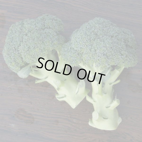 画像4: 送料無料　[ブロッコリー]　恵麟　2000粒　トキタ種苗(株) (4)