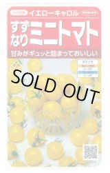 画像: 送料無料　[トマト/ミニトマト]　イエローキャロル　15粒　(株)サカタのタネ　実咲450（004026）