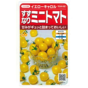 画像: 送料無料　[トマト/ミニトマト]　イエローキャロル　15粒　(株)サカタのタネ　実咲450（004026）