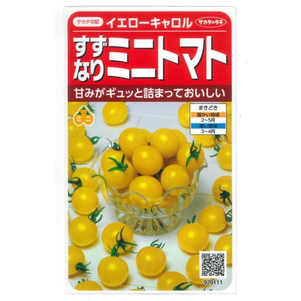 画像1: 送料無料　[トマト/ミニトマト]　イエローキャロル　15粒　(株)サカタのタネ　実咲450（004026） (1)
