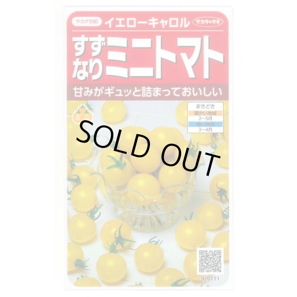 画像1: 送料無料　[トマト/ミニトマト]　イエローキャロル　15粒　(株)サカタのタネ　実咲450（004026） (1)