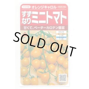 画像: 送料無料　[トマト/ミニトマト]　オレンジキャロル　15粒　(株)サカタのタネ　実咲450（004027）
