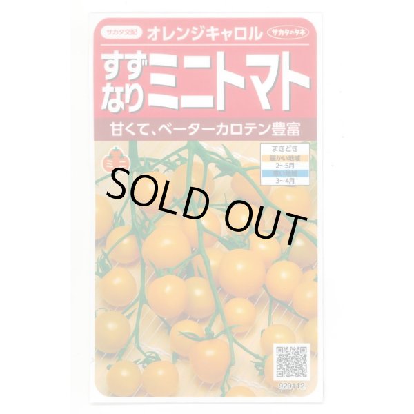 画像1: 送料無料　[トマト/ミニトマト]　オレンジキャロル　15粒　(株)サカタのタネ　実咲450（004027） (1)